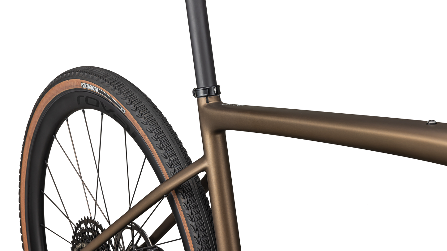 Diverge Expert Carbon