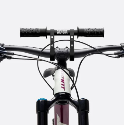 KIDS RIDE SHOTGUN SEAT/HANDLE COMBO 2.0