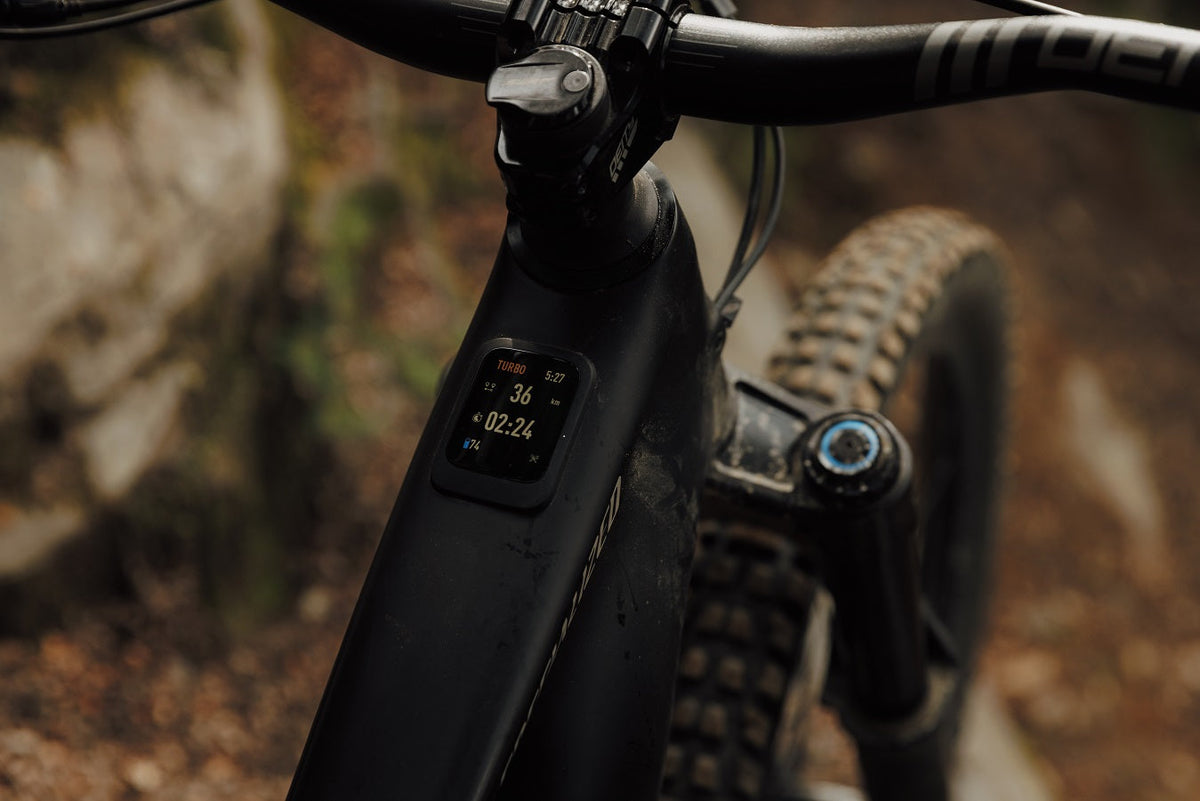 Electric Bikes