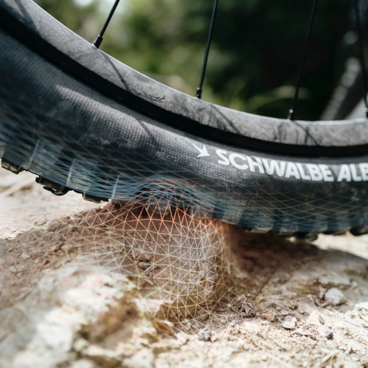 Tyres & Tubes