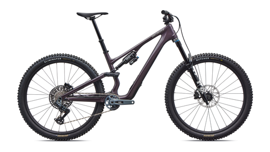 Stumpjumper 15 EVO Expert AXS
