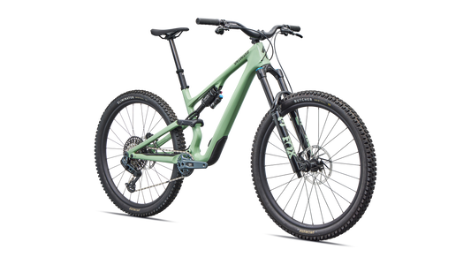 Stumpjumper 15 EVO Expert