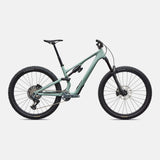 Stumpjumper 15 EVO Expert