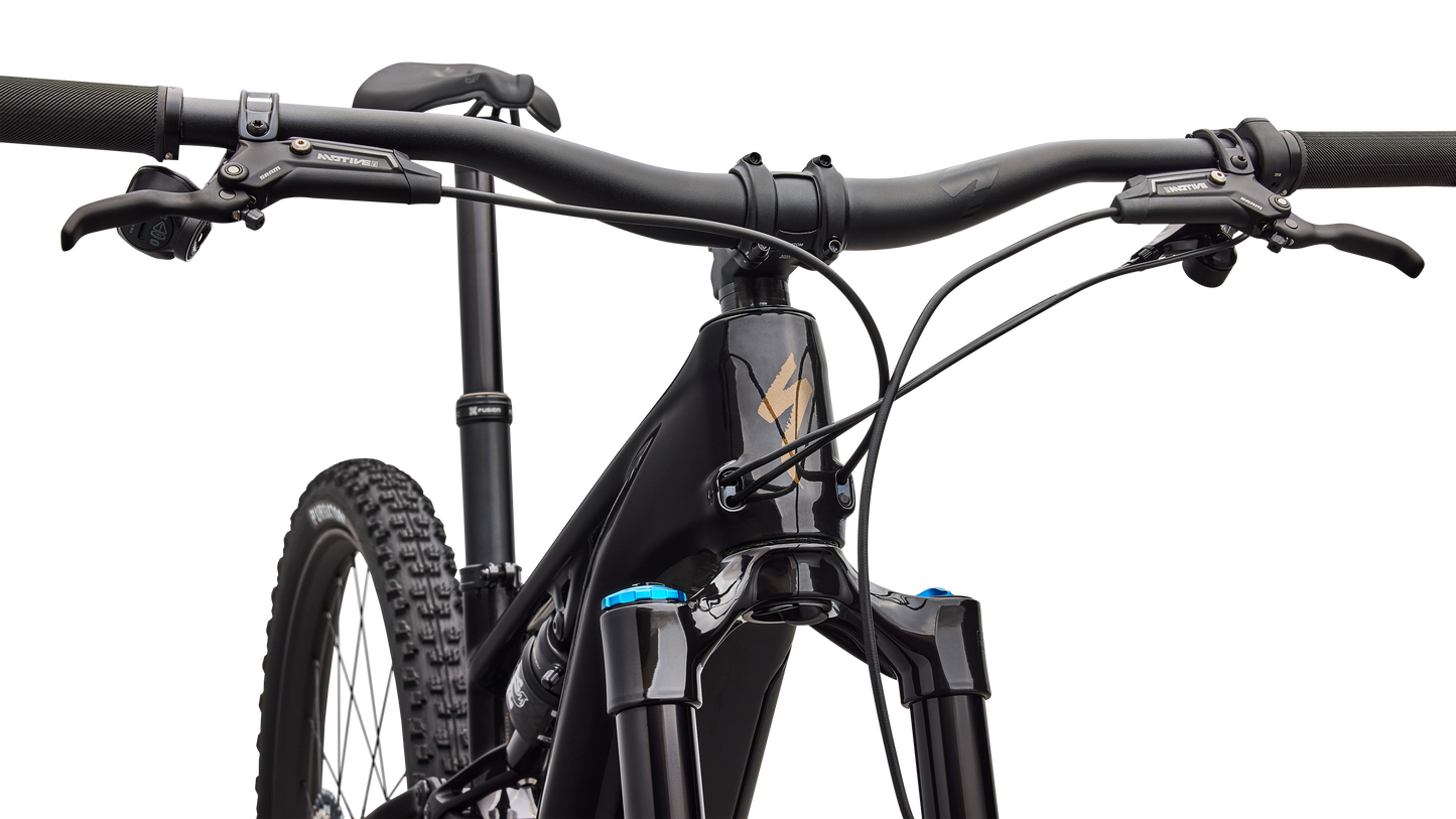 Turbo Levo R Expert