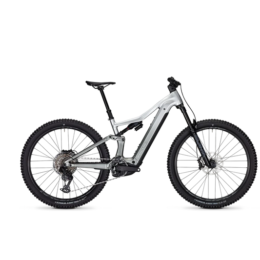 Focus JAM2 6.8 Nepalsilver / Steelgrey 800 Wh L