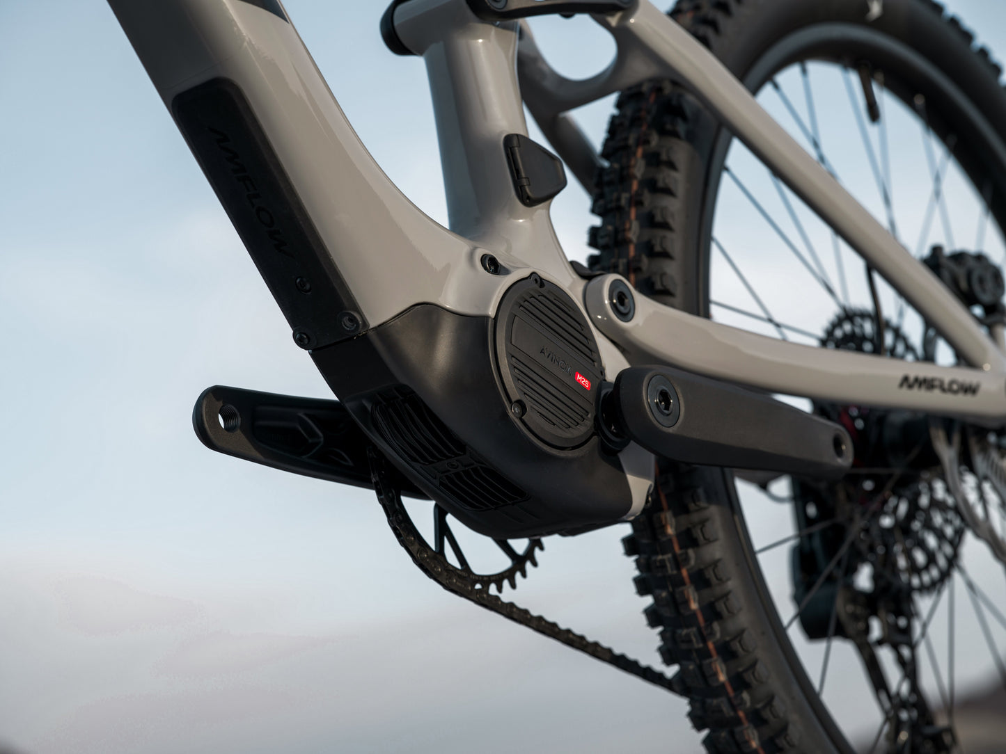 Amflow PX Carbon