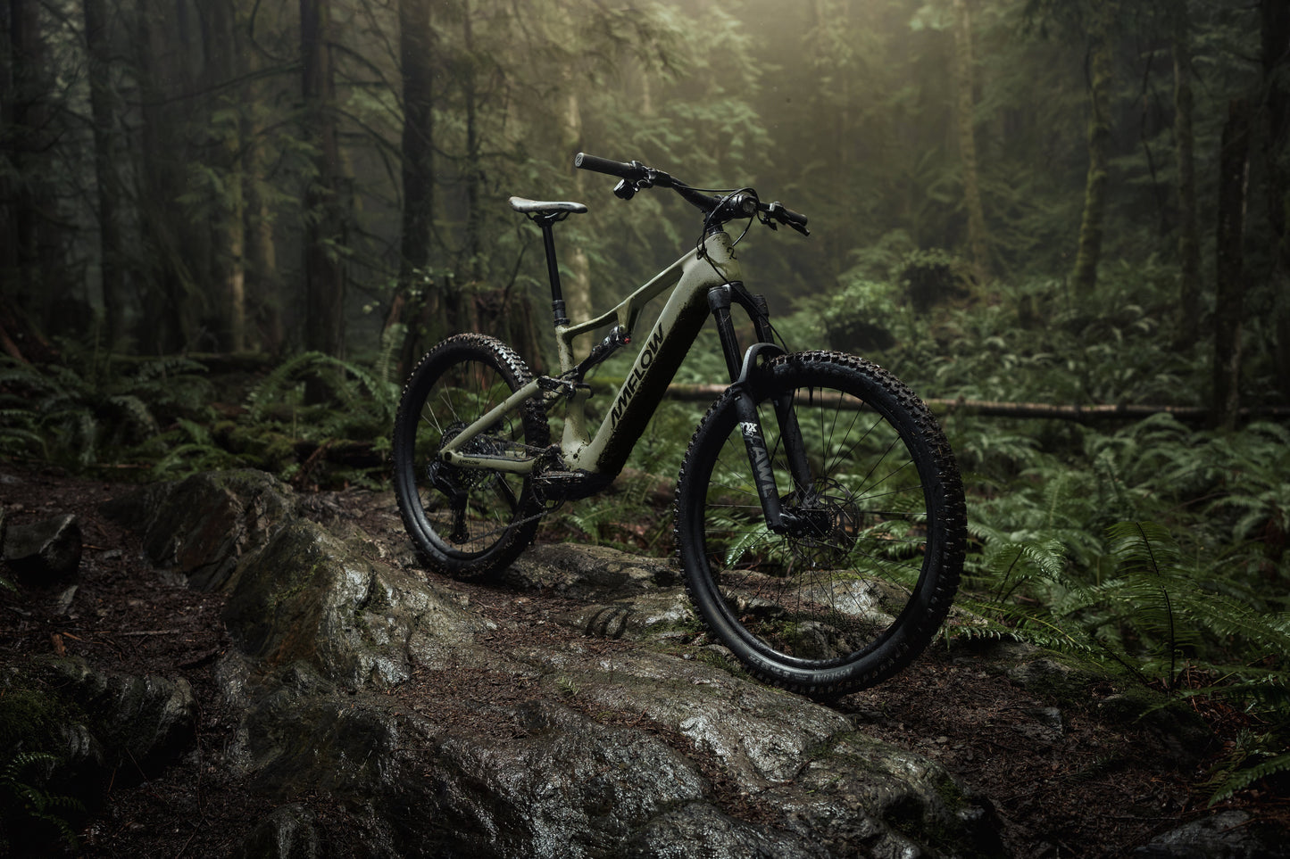 Amflow PR Carbon