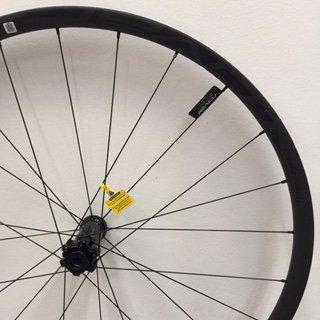 WHL MY17 CONTROL 29 CARBON, FRONT, TA, 15X110MM, DISC, 6-BOLT, 24H (LFM15-110) - SATIN CARBON W/ BLACK DCL
