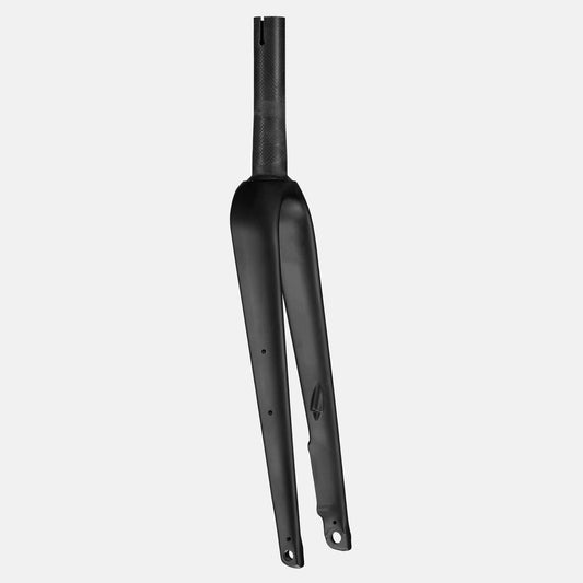 FRK MY21 FUTURE SHOCK (G2.1), 700C, TA, CARBON, 12X100MM, DISC ,55MM OFFSET, 174MM ST - SATIN CARBON
