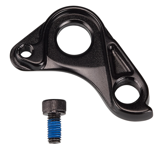 HGR MY21 ROAD DISC, LIGHTWEIGHT ROAD THRU-AXLE DERAILLEUR HANGER, W/ BOLT