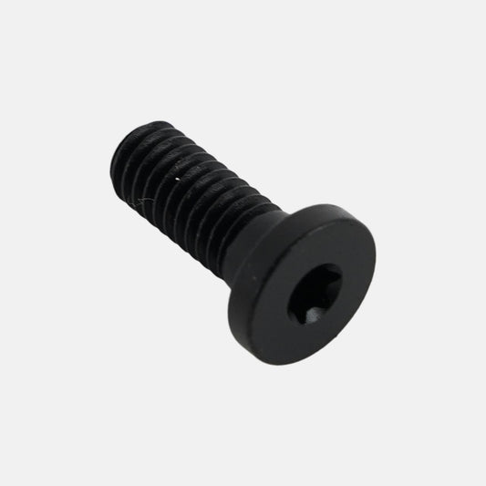 BLT TURBO CONNECT UNIT (TCU) MOUNTING BOLT, T10 TORX, M4X0.7PX10MM, ALLOY, BLACK