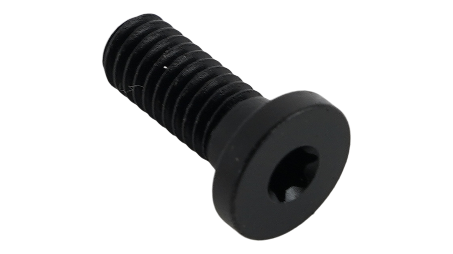 BLT TURBO CONNECT UNIT (TCU) MOUNTING BOLT, T10 TORX, M4X0.7PX10MM, ALLOY, BLACK