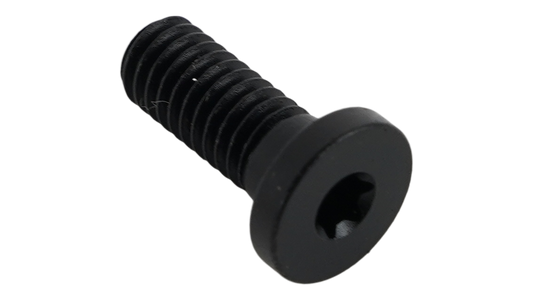 BLT TURBO CONNECT UNIT (TCU) MOUNTING BOLT, T10 TORX, M4X0.7PX10MM, ALLOY, BLACK