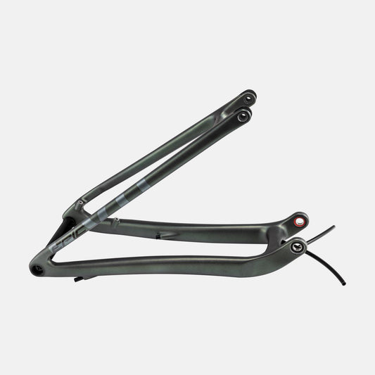 CHS MY22 SW EPIC EVO, REAR STAY ASSEMBLY, 29, CARBON, 12X148MM - STN CMLN/SIL/GRN SPCTFLR BRSH/BLKCP