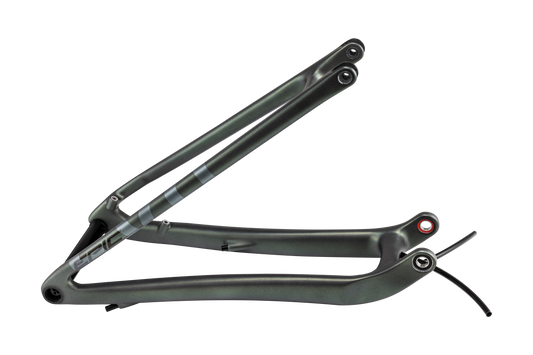 CHS MY22 SW EPIC EVO, REAR STAY ASSEMBLY, 29, CARBON, 12X148MM - STN CMLN/SIL/GRN SPCTFLR BRSH/BLKCP