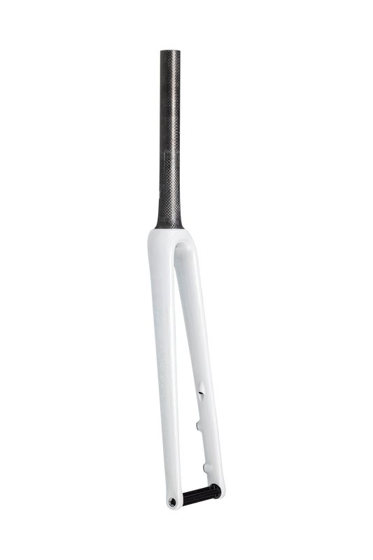 FRK MY23 SW AETHOS, 700C, TA, CARBON, 12X100MM, DISC, 47MM OFFSET, SIZES 49/52CM-BRCH/ABLN/DUNEWHT