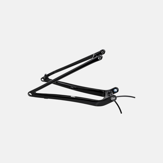 CHS MY24 SW EPIC, REAR STAY ASSEMBLY, 29, CARBON, 12X148MM - GLOSS BLACK