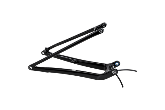 CHS MY24 SW EPIC, REAR STAY ASSEMBLY, 29, CARBON, 12X148MM - GLOSS BLACK
