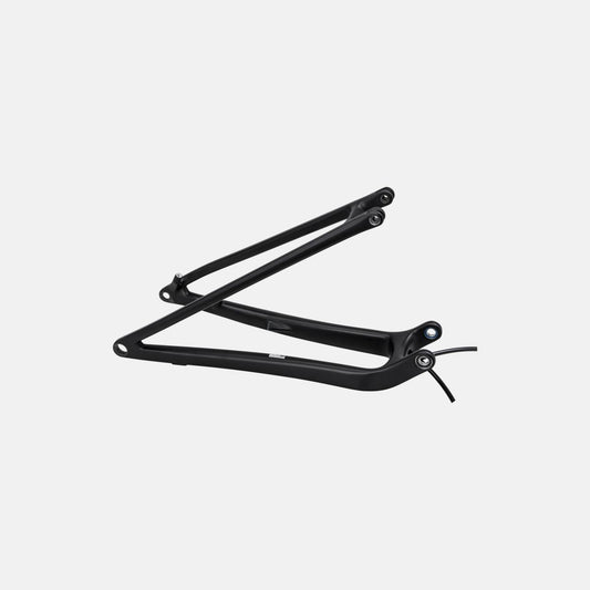 CHS MY24 SW EPIC, REAR STAY ASSEMBLY, 29, CARBON, 12X148MM - SATIN BLACK