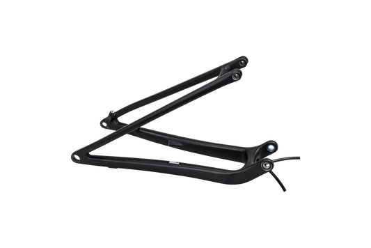 CHS MY24 SW EPIC, REAR STAY ASSEMBLY, 29, CARBON, 12X148MM - SATIN BLACK
