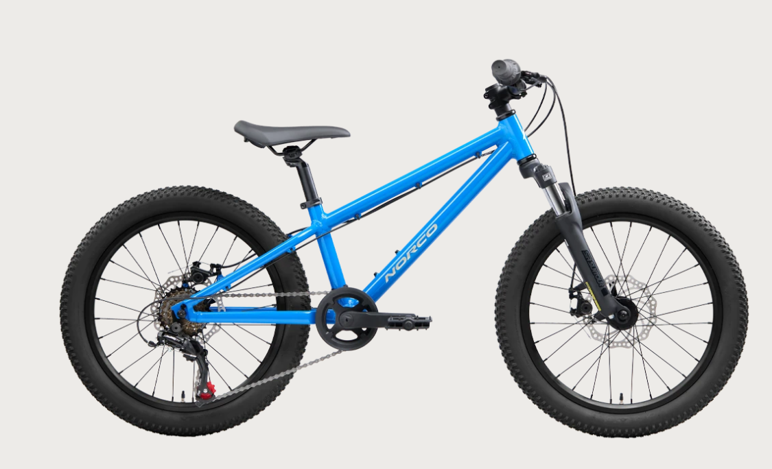 Norco Storm 20" Kids Mountain Bike BLUE