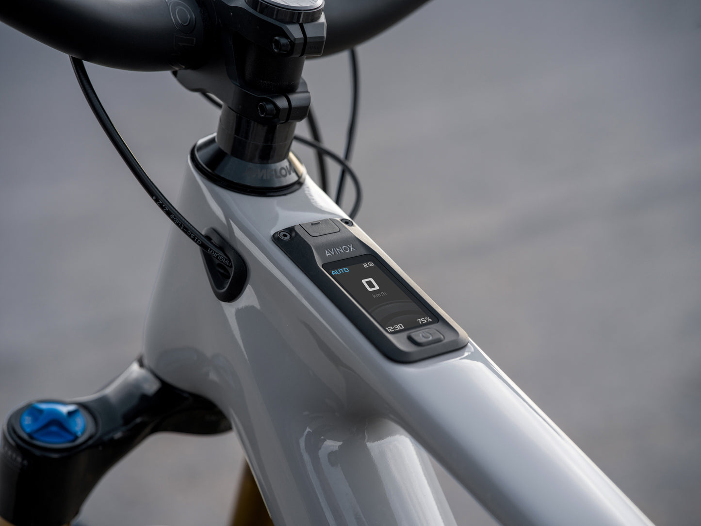 Amflow PX Carbon
