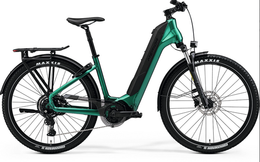 25 MERIDA ESPRESSO CC 400 EQ SM - SILK EVERGREEN