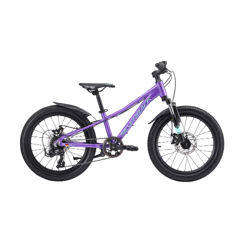 25 SILVERBACK SPYKE VIBRANT BERRY DISC 20"